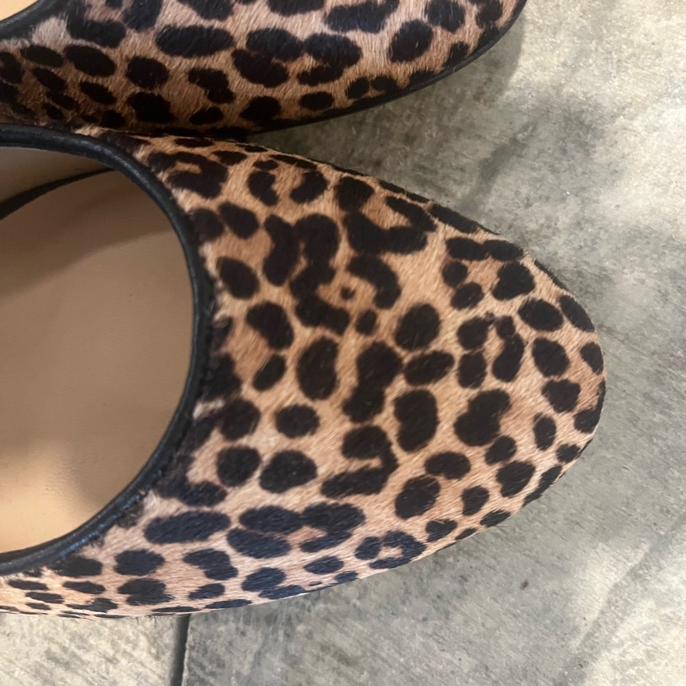 Talbots Leopard Print Flats - Black and Tan